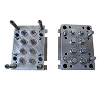 Packaging Mould