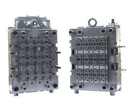 Packaging Mould