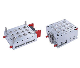 Packaging Mould