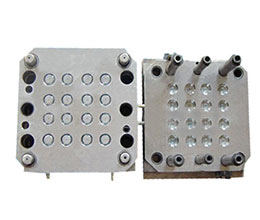 Packaging Mould